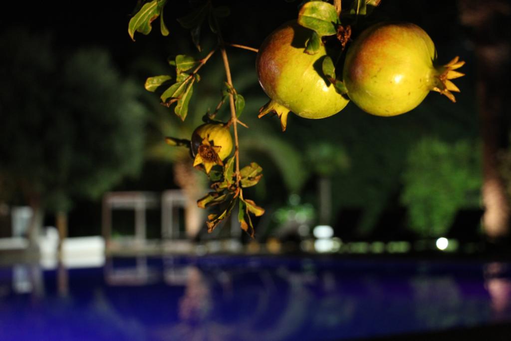 Hotel Terranobile Metaresort Bari Luaran gambar